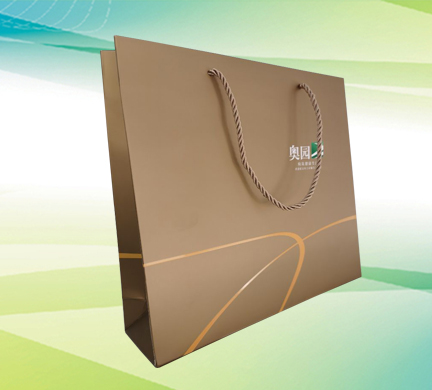 禮(lǐ)品袋